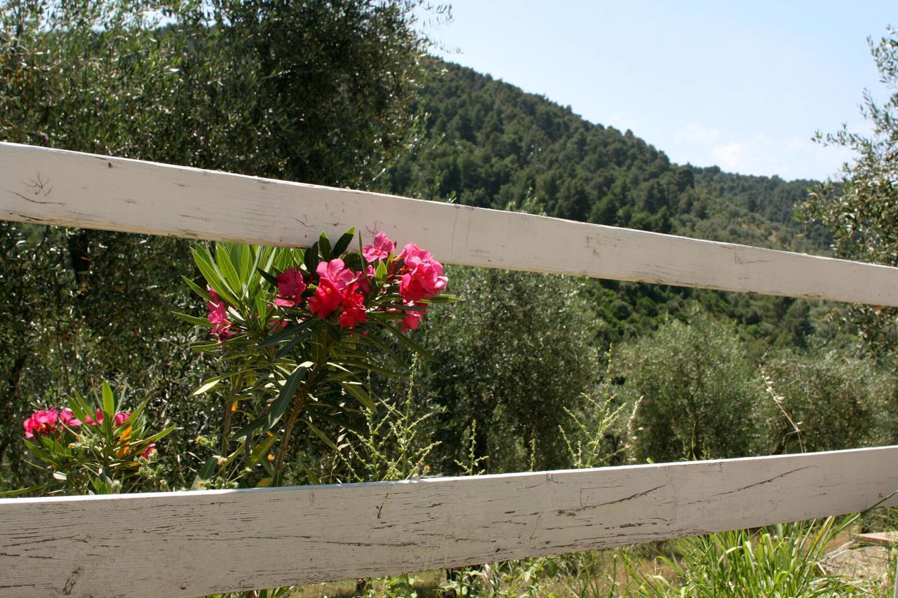 Agriturismo Affittacamere Atlhos Vieste Exterior foto